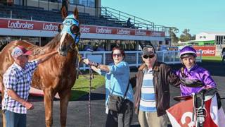 Free Carry chases Newmarket glory