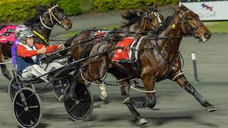 Oli's Oil - August 1 @ Albion Park