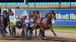 Leaping on for another year?