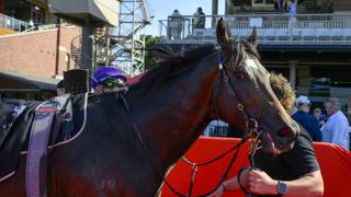 Schweida ready for another Sydney test