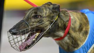 National Sprint Final in range for Extreme Tension