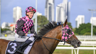 Absolutely fabulous future ahead for star galloper