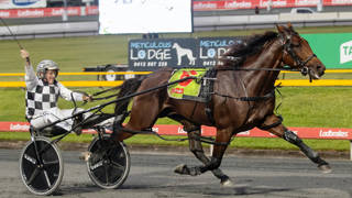 Dashman's Dashboard - March 28 @ Albion Park