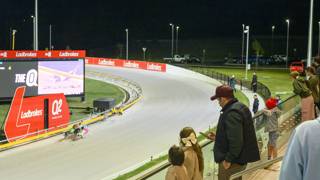 Wonderful Work faces biggest test in Flying Amy heat