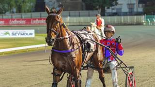 Dashman's harness examination - April 13