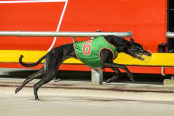 Ipswich Cup Night