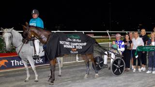 Dashman's harness examination - February 9