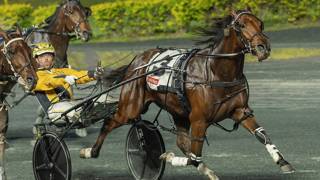 Baby Abbey adds to Elkins’ winning run