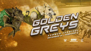 Golden Greys Summer Carnival set to light up The Q