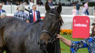 Naomi Hemmings ready to reign again