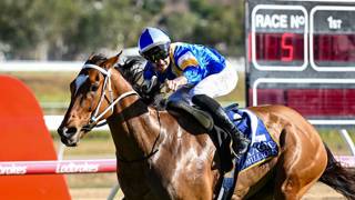 Illegal Justice caps stunning Guineas hat-trick