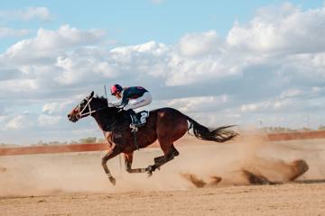 Muttaburra Cup