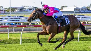 Vandyke has many options with Philia