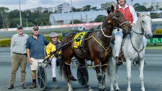 Warrawee flies to fastest Trot Rods time at Redcliffe