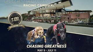 Queensland Winter Greyhound Racing Carnival reaches new heights in 2026