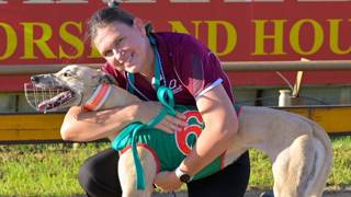 Wyndra has box and distance ticked for Wildcard