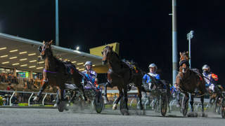 The Dashboard - August 15 @ Albion Park