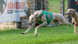 Neutron developing into young racing genius