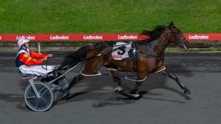 The Dashboard - August 8 @ Albion Park