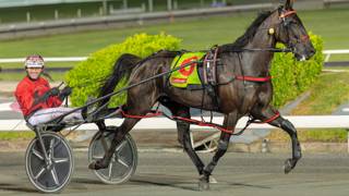 The price is right for Redcliffe Gold Cup glory