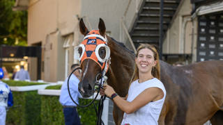 Sydney form can strike with Sibaaq