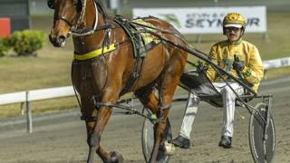 The Dashboard - October 10 @ Albion Park