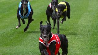 Anti Venom may be the catalyst to Newing’s conversion