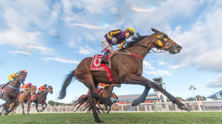 Spirit Meister’s feature hopes live on
