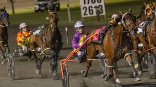 Oli's Oil - February 18 @ Redcliffe